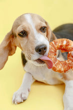 Load image into Gallery viewer, Mr. Giggles GPP0823002 Lollipop Shaped Hide Dog Treats  60g  (3packs) - Dogs And The City Online