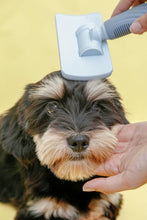 Load image into Gallery viewer, Mr. Giggles Paddle Brush Light Blue + Smog Blue