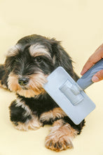 Load image into Gallery viewer, Mr. Giggles Paddle Brush Light Blue + Smog Blue - Dogs And The City Online