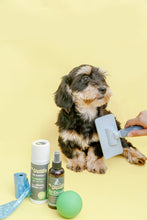 Load image into Gallery viewer, Mr. Giggles Paddle Brush Light Blue + Smog Blue - Dogs And The City Online