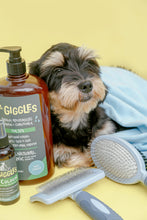 Load image into Gallery viewer, Mr. Giggles Round Double Brush  Light blue + Smog Blue - Dogs And The City Online