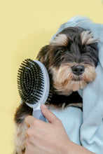 Load image into Gallery viewer, Mr. Giggles Round Double Brush  Light blue + Smog Blue - Dogs And The City Online