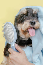 Load image into Gallery viewer, Mr. Giggles Round Double Brush  Light blue + Smog Blue - Dogs And The City Online