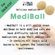 Load image into Gallery viewer, VET'S LABO 16697 Japanese Medi Ball for Dog Chicken Fillet Flavor Treats 15pcs 20g