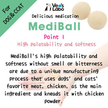 Load image into Gallery viewer, VET'S LABO 16697 Japanese Medi Ball for Dog Chicken Fillet Flavor Treats 15pcs 20g