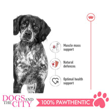 Load image into Gallery viewer, Royal Canin Medium Adult 4kg - Dogs And The City Online