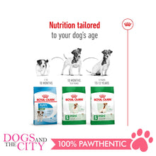 Load image into Gallery viewer, Royal Canin Mini Mature ADULT 8+ 2KG - Dogs And The City Online