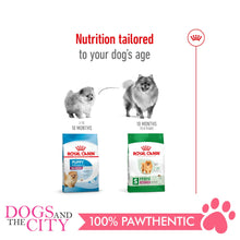 Load image into Gallery viewer, Royal Canin Mini Indoor Adult 1.5kg - Dogs And The City Online
