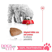 Load image into Gallery viewer, Royal Canin Mini Indoor Adult 1.5kg - Dogs And The City Online