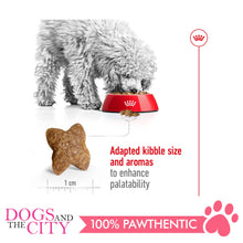 Load image into Gallery viewer, Royal Canin Mini Adult 2kg - Dogs And The City Online