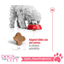Load image into Gallery viewer, Royal Canin Mini Mature ADULT 8+ 2KG - Dogs And The City Online