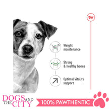 Load image into Gallery viewer, Royal Canin Mini Mature ADULT 8+ 2KG - Dogs And The City Online