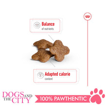 Load image into Gallery viewer, Royal Canin Mini Mature ADULT 8+ 2KG - Dogs And The City Online