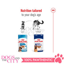 Load image into Gallery viewer, Royal Canin Shn Maxi Adult Wet Dog Food 140gx10pcs