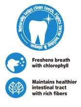 Load image into Gallery viewer, Dentalight 9534 Dent Fresh 3" 360° Toothbrush Sweet Apple 18 pieces Dog Dental Chews - Dogs And The City Online