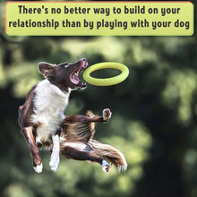 Load image into Gallery viewer, SLP FT008 DuraFoam Aerofoam Rubber Ring Training Dog Toy Large 30cm