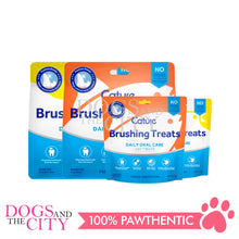 Load image into Gallery viewer, CATURE Freeze-Dried Dental Cat Treats Chicken/Fish Flavor 30g - Dogs And The City Online