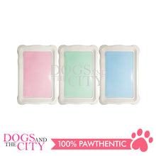 Load image into Gallery viewer, DGZ Pet Potty Train Pan Portable Indoor Outdoor Potty Holder SMALL for Dog and Puppy 49x32cm - Dogs And The City Online