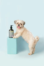 Load image into Gallery viewer, Mr. Giggles Shampoo &amp; Conditioner White Jasmine 1000 ml for Dogs and Cats - Dogs And The City Online