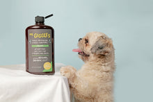 Load image into Gallery viewer, Mr. Giggles Shampoo &amp; Conditioner White Jasmine 1000 ml for Dogs and Cats - Dogs And The City Online