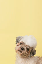 Load image into Gallery viewer, Mr. Giggles Shampoo &amp; Conditioner White Jasmine 1000 ml for Dogs and Cats - Dogs And The City Online