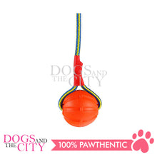 Load image into Gallery viewer, SLP FT002 Swing 'n Fling DuraFoam Ball Rope Dog Toy 6cm - Dogs And The City Online