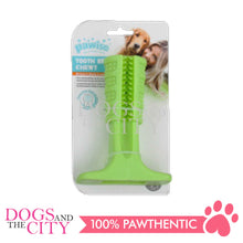 Load image into Gallery viewer, PAWISE 14472 Toothbrush Chewy Dog Toy Medium 14x10cm - Dogs And The City Online