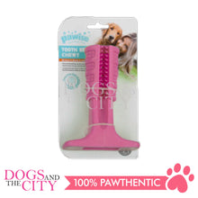 Load image into Gallery viewer, PAWISE 14472 Toothbrush Chewy Dog Toy Medium 14x10cm - Dogs And The City Online