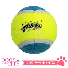 Load image into Gallery viewer, PAWISE 14742 Pawise Tennis Ball Dog Toy 1's - Dogs And The City Online